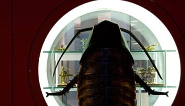 Tarakonų kelionė po mokslo muziejų 