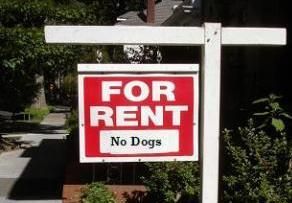 Namai ir šuo Londone: mažiau pasirinkimo ir brangesnė nuoma